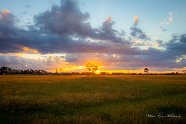Sandhurst Sunset