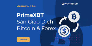 Discover the Excitement of PrimeXBT Contests Discover the Excitement of PrimeXBT Contests