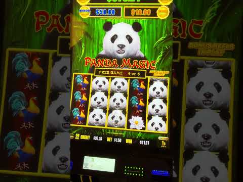 Play at Spinpanda Casino Discover the Thrills of Online Gaming Play at Spinpanda Casino Discover the Thrills of Online Gaming